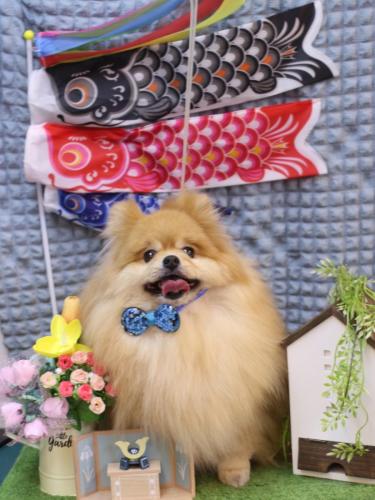 20230519梛都ちゃん